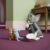 Tom Jerry Co-op Chaos Series Figure #12517393695038 - Image 10