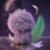 Cute Animal Plush Stuffed Toy #12245133689150 - Image 14