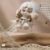 Cute Animal Plush Stuffed Toy (64) - Image 4