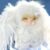 Cute Animal Plush Stuffed Toy #12238705852734 - Image 2