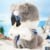 Soft Plush Doll Toy Stuffed Animal Gift (290) - Image 3