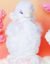 Soft Plush Doll Toy Stuffed Animal Gift (626) - Image 4