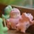SLLO Dinosaur Series PVC Figures, Fuzzy #11518530322750 - Image 8