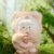 Cute Animal Plush Stuffed Toy #12316647981374 - Image 4