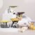 Cat Back Series Figure Blind Box #12485509480766 - Image 6