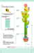 Personalized Cactus Wooden Growth Chart for Kids - Custom Name with ... #54425 - Image 3