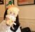 Cute Animal Plush Stuffed Toy #11612213674302 - Image 10