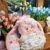 Cute Animal Plush Stuffed Toy #11969974894910 - Image 2