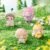 \n   \n   \n   \n   \n   \n   \n   \n   \n   \n #11909210571070 - Image 2