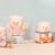 TNT Space x LuLu The Piggy Playing Around Series Plush Blind Box - Image 4