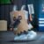 POP MART Zenless Zone Zero Bangboo Party Series Figures Blind Box - Image 3