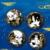 Naruto Shippuden Will of Fire Inheritance Series Can Badge Blind Box - Image 3