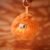 Soft Plush Doll Toy Stuffed Animal Gift (262) - Image 4
