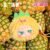 Cute Animal Plush Stuffed Toy #11363437084990 - Image 8