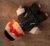 Soft Plush Doll Toy Stuffed Animal Gift (693) - Image 20