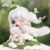 Zoraa Dawn Spring Series Figure #12377664880958 - Image 3