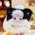 Cute Animal Plush Stuffed Toy #11983363965246 - Image 6