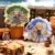 One Piece Blind Box (3) - Image 4
