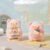 TNT Space x LuLu The Piggy Playing Around Series Plush Blind Box - Image 5