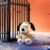 Soft Plush Doll Toy Gift #12299169694014 - Image 4