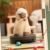 Robocat QueSera Series Figure Blind Box #12333177504062 - Image 3