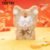 Soft Plush Doll Toy Gift #12018228658494 - Image 7