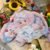 Cute Animal Plush Stuffed Toy #11969974894910 - Image 5