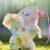 Cute Animal Plush Stuffed Toy #12245130969406 - Image 5