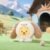 Soft Plush Doll Toy Stuffed Animal Gift (303) - Image 6