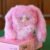 Soft Plush Doll Toy Stuffed Animal Gift (467) - Image 6