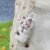 Soft Plush Doll Toy Gift #12485409997118 - Image 5