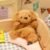 Cute Animal Plush Stuffed Toy #11365836849470 - Image 8