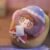 Soft Plush Doll Toy Gift #12396006048062 - Image 8