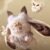 Soft Plush Doll Toy Gift #12420478632254 - Image 7