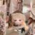 Cute Plush Pendant Doll Keychain Bag Charm (93) - Image 7