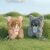 The Lost Tomb Bronze Cute Series Plush Blind Box - Image 4