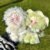Cute Animal Plush Stuffed Toy #12229361271102 - Image 6