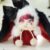 Cute Animal Plush Stuffed Toy #12238705852734 - Image 6