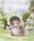 Soft Plush Doll Toy Stuffed Animal Gift (762) - Image 6