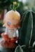 Zsiga Growing PVC Figure - Image 6