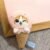 Cute Animal Plush Stuffed Toy #12337079746878 - Image 3