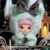Soft Plush Doll Toy Stuffed Animal Gift (331) - Image 8