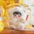 Cute Animal Plush Stuffed Toy #12273056252222 - Image 7