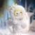 Cute Animal Plush Stuffed Toy #11941281464638 - Image 4
