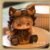 Linlinna Daily Special Series Figure Blind #12311797498174 - Image 6