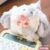 Samuel"Puppy,Be Good"Series Blind Box #12030870192446 - Image 9
