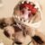 Cute Animal Plush Stuffed Toy #12469777858878 - Image 3