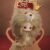 NOOK Animal Boyfriend Series Vinyl Plush Charm Blind Box - Image 10