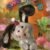 Soft Plush Doll Toy Stuffed Animal Gift (341) - Image 3
