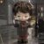 Ukio City Pages Serise Figure Blind #12461891158334 - Image 2